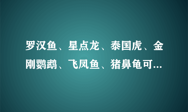 罗汉鱼、星点龙、泰国虎、金刚鹦鹉、飞凤鱼、猪鼻龟可以混养吗？