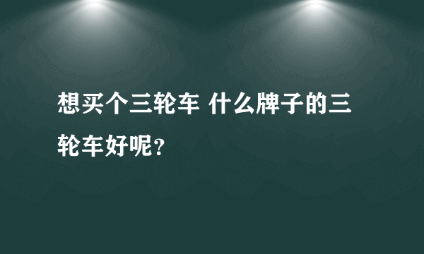 想买个三轮车 什么牌子的三轮车好呢？