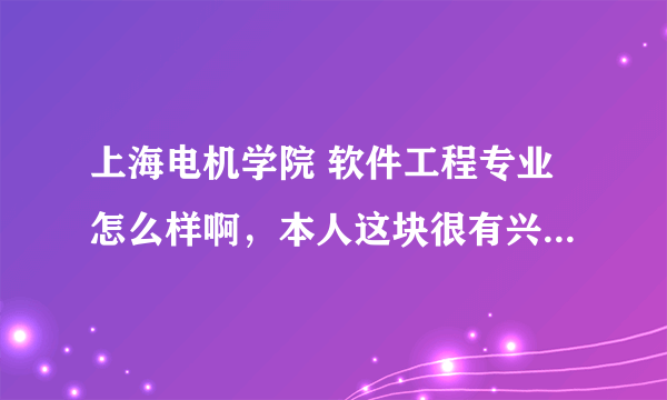 上海电机学院 软件工程专业怎么样啊，本人这块很有兴趣，分数正好够到这里