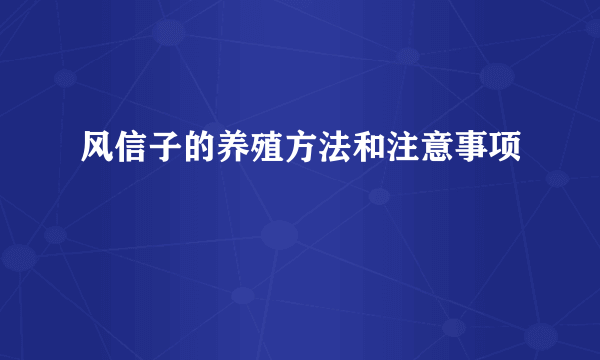 风信子的养殖方法和注意事项