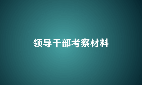 领导干部考察材料