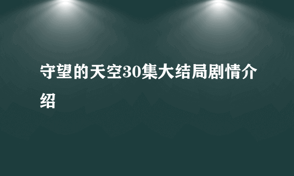 守望的天空30集大结局剧情介绍