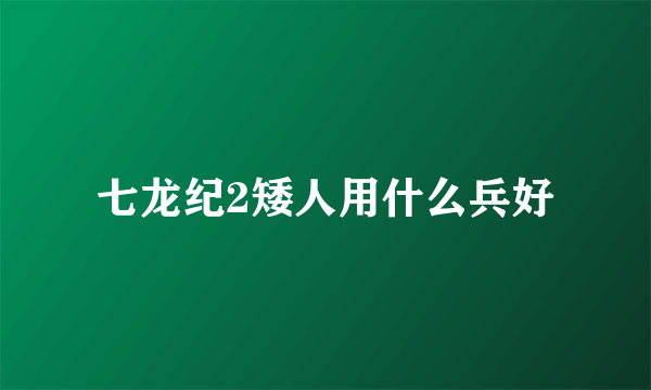 七龙纪2矮人用什么兵好