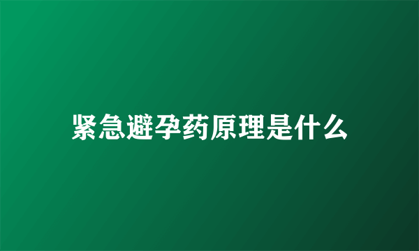 紧急避孕药原理是什么