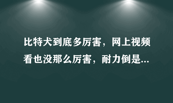 比特犬到底多厉害，网上视频看也没那么厉害，耐力倒是挺好，斗志顽强，很佩服。百度百科说30公斤不畏惧