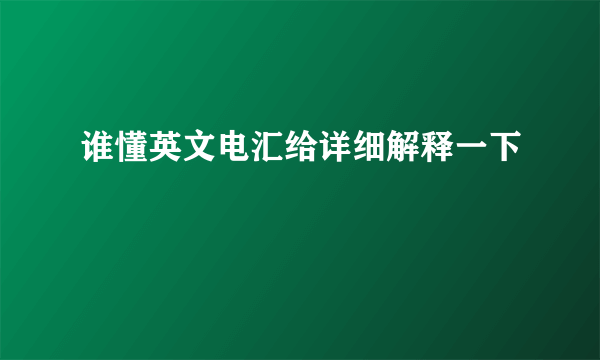 谁懂英文电汇给详细解释一下