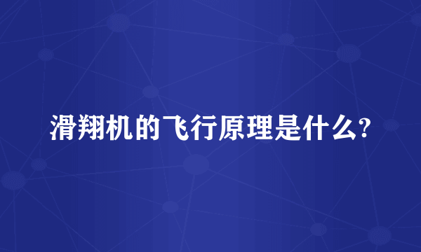 滑翔机的飞行原理是什么?