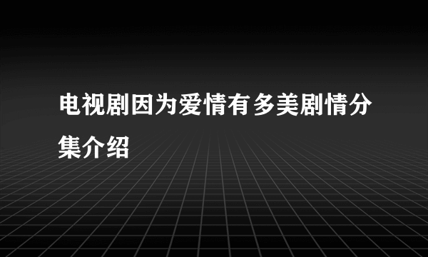 电视剧因为爱情有多美剧情分集介绍