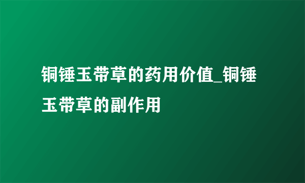 铜锤玉带草的药用价值_铜锤玉带草的副作用