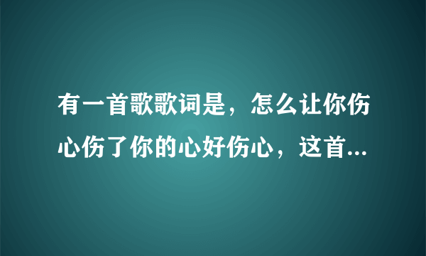 有一首歌歌词是，怎么让你伤心伤了你的心好伤心，这首歌歌名叫什么？