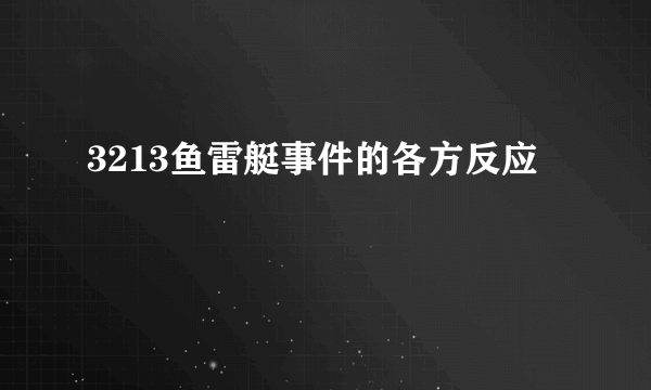 3213鱼雷艇事件的各方反应