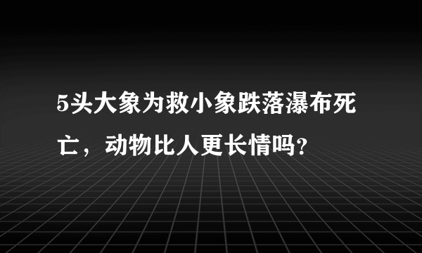 5头大象为救小象跌落瀑布死亡，动物比人更长情吗？