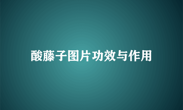 酸藤子图片功效与作用