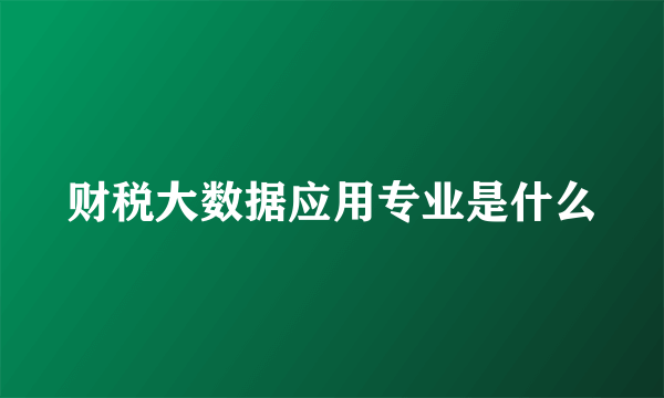 财税大数据应用专业是什么