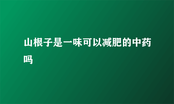 山根子是一味可以减肥的中药吗