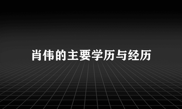 肖伟的主要学历与经历