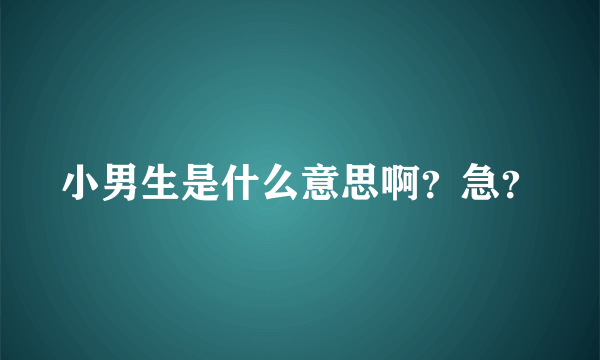 小男生是什么意思啊？急？