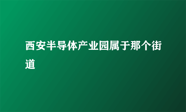 西安半导体产业园属于那个街道