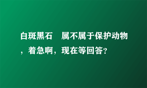 白斑黑石鵖属不属于保护动物，着急啊，现在等回答？