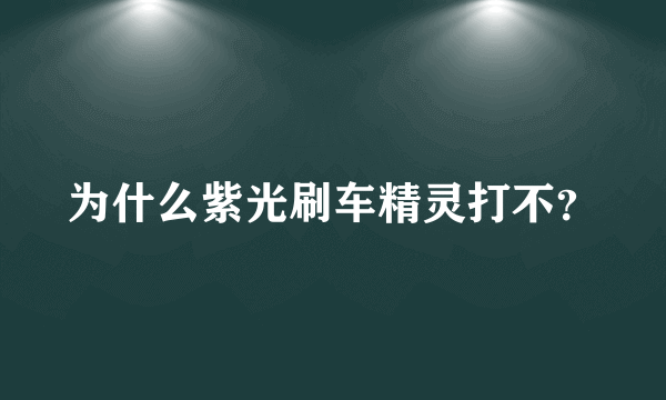 为什么紫光刷车精灵打不？