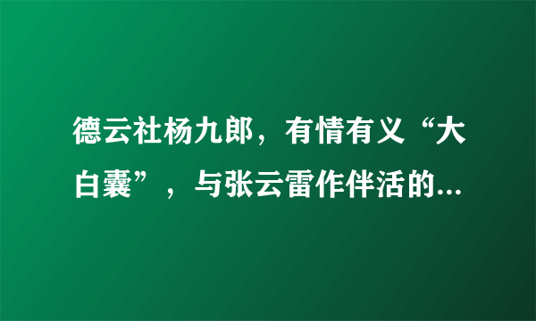 德云社杨九郎，有情有义“大白囊”，与张云雷作伴活的没羞没臊