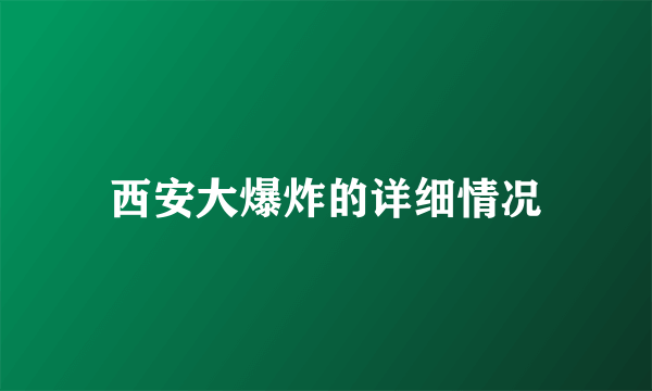 西安大爆炸的详细情况