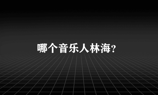 哪个音乐人林海？