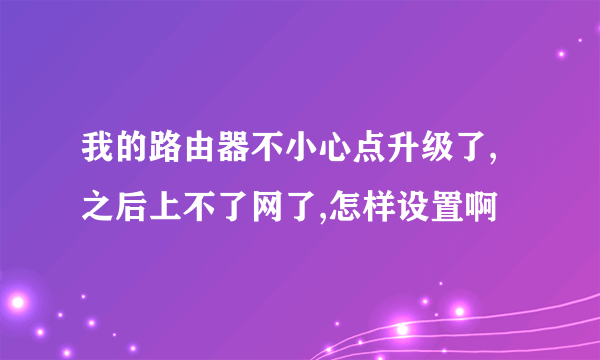 我的路由器不小心点升级了,之后上不了网了,怎样设置啊