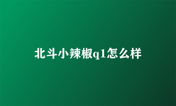 北斗小辣椒q1怎么样