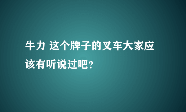 牛力 这个牌子的叉车大家应该有听说过吧？