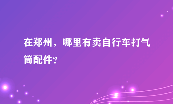 在郑州，哪里有卖自行车打气筒配件？