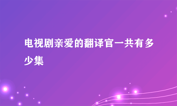 电视剧亲爱的翻译官一共有多少集