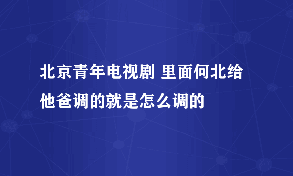 北京青年电视剧 里面何北给他爸调的就是怎么调的