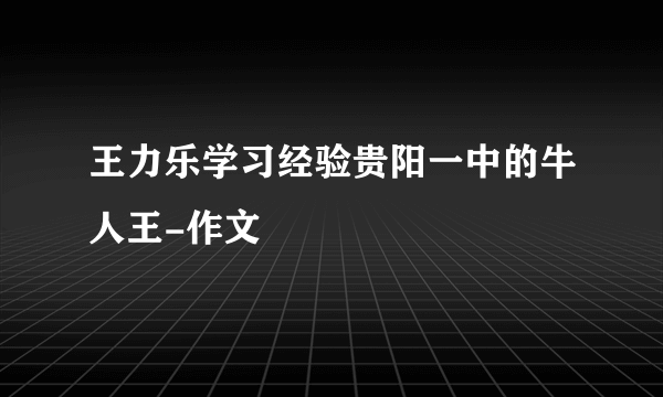 王力乐学习经验贵阳一中的牛人王-作文