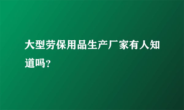 大型劳保用品生产厂家有人知道吗？