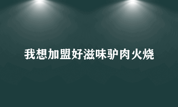 我想加盟好滋味驴肉火烧