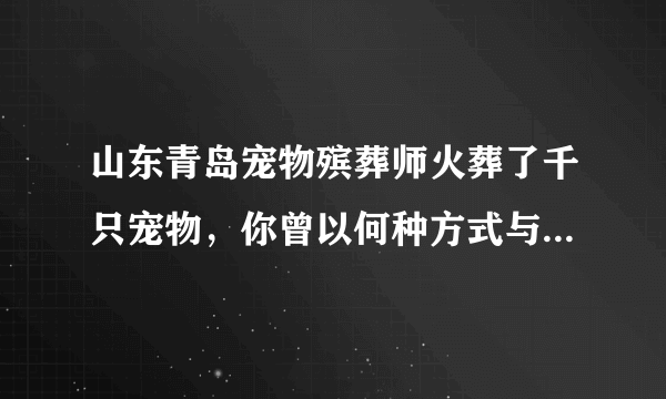 山东青岛宠物殡葬师火葬了千只宠物，你曾以何种方式与自己的宠物告别？