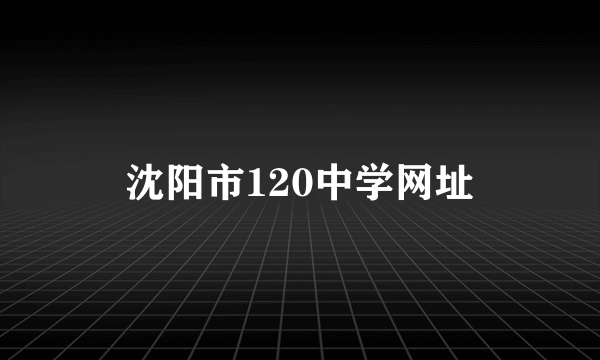 沈阳市120中学网址