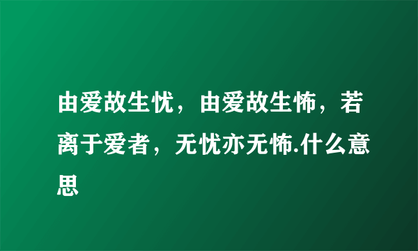 由爱故生忧，由爱故生怖，若离于爱者，无忧亦无怖.什么意思