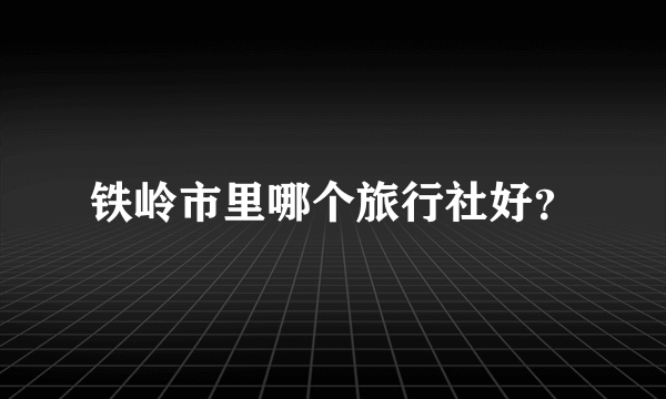 铁岭市里哪个旅行社好？