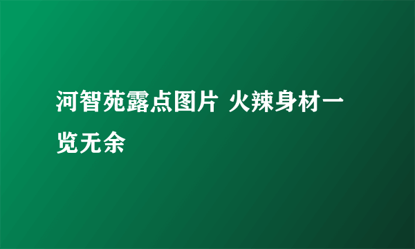 河智苑露点图片 火辣身材一览无余