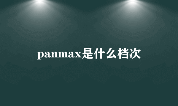 panmax是什么档次