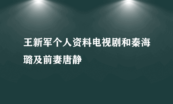 王新军个人资料电视剧和秦海璐及前妻唐静