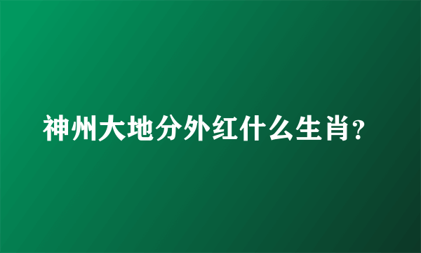 神州大地分外红什么生肖？