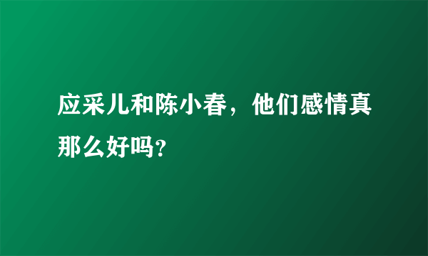 应采儿和陈小春，他们感情真那么好吗？