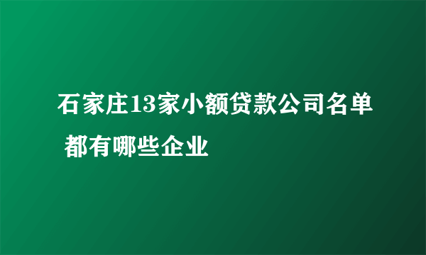 石家庄13家小额贷款公司名单 都有哪些企业