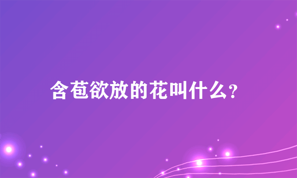 含苞欲放的花叫什么？