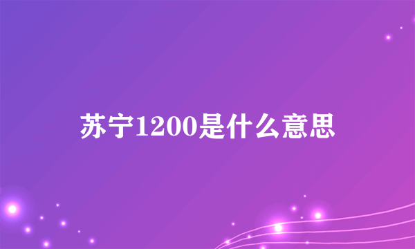 苏宁1200是什么意思