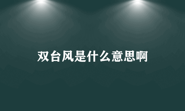 双台风是什么意思啊