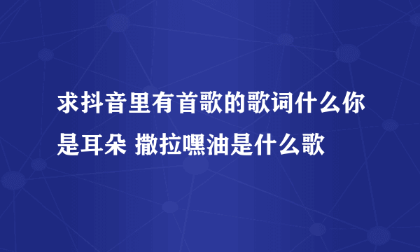 求抖音里有首歌的歌词什么你是耳朵 撒拉嘿油是什么歌